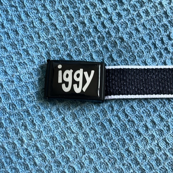 IGGY belt - black and white - this close to falling apart - Picture 2 of 4